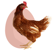 Przykładowa strona Przykładowa strona